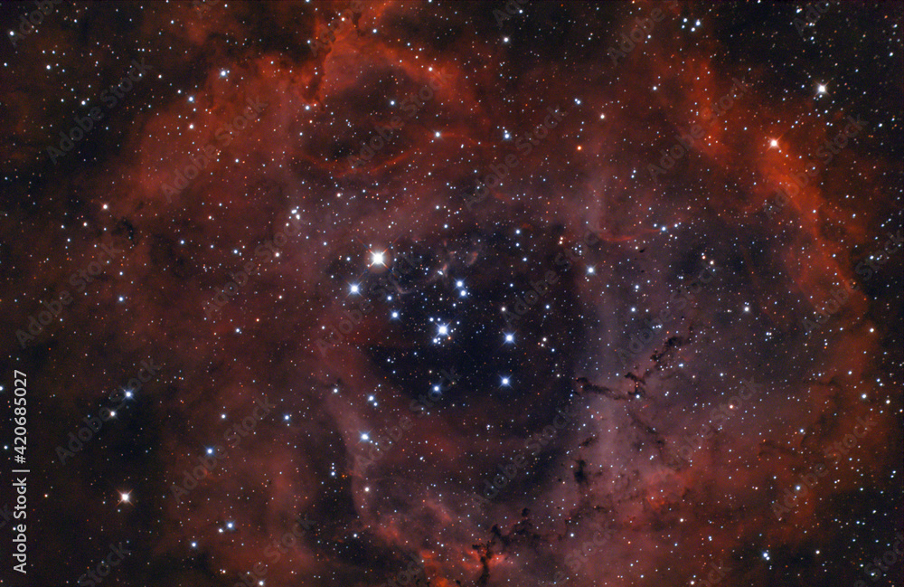 Wall mural the rosette nebula (caldwell 49) an emission nebula near the constellation of orion, the centre star