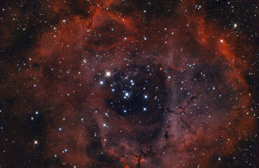 The Rosette nebula (Caldwell 49) an emission nebula near the constellation of Orion, the centre...