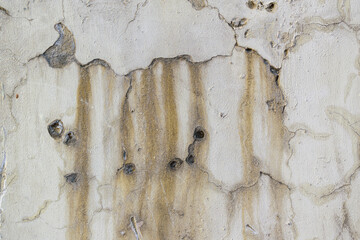 Old wall for backdrop. Cracked and pitted plaster, brown streaks from cracks. Color - Gray Nurse.
