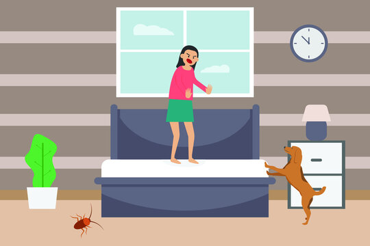 Woman with cynophobia problem standing on the bed with looking at dog