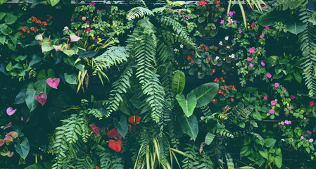 Plant wall with lush green colors, variety plant forest garden on walls orchids various fern leaves...