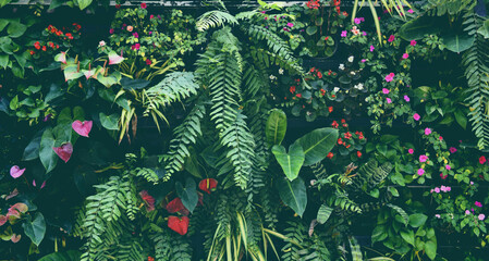 Plant wall with lush green colors, variety plant forest garden on walls orchids various fern leaves jungle palm and flower decorate in the garden rainforest background