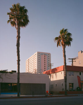 Santa Monica Street at Sunset