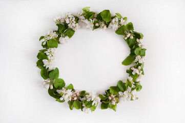 A beautiful wreath of green spring Apple branches with pink and white flowers and buds on a white background. 