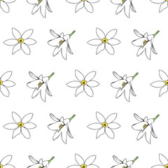 Vector white background white yellow lemony floral seamless pattern. Daisies, Lilies. Seamless pattern background