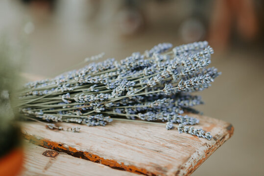 Lavender on a rustic bench