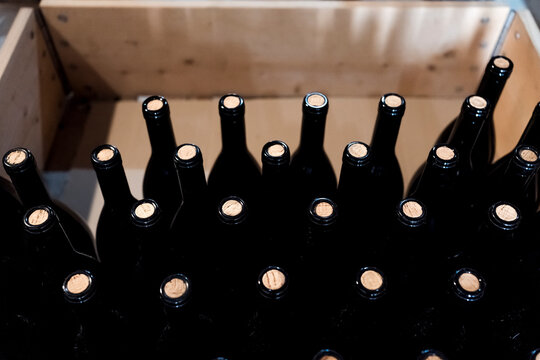 Bottles of red wine