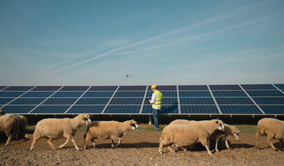 An animal farm with Solar Panels
