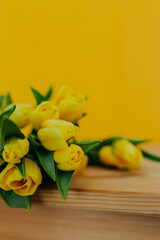 Bright fresh yellow tulips on yellow background. Many tulips closeup on wooden table. Bunch of yellow tulips on table.