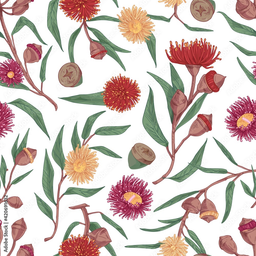 Poster seamless floral pattern with blooming flowers of eucalyptus on white background. endless botanical t