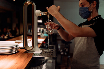 Bartender serving draft beer