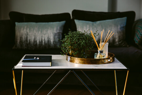 Items on a table in an elegant room.