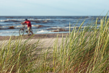 A man leads a bicycle along a sandy Baltic beach. Waves near the coast in the Gulf of Riga against the background of tall grass in the dunes. Latvia
