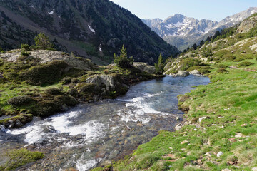 Fototapeta na wymiar Valferrera Valley in Pyrenees Mountains (Spain)