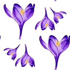 Fototapeta na wymiar Hand drawn watercolor seamless floral pattern with purple lilac crocus saffron flowers 8