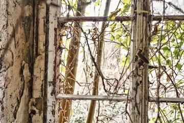 Alter Fenster