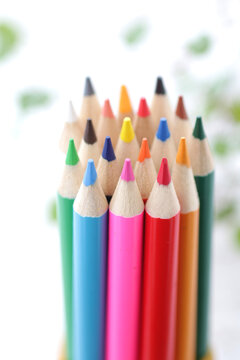 色鉛筆とお絵かき