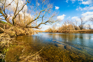 Vorfrühling an der Sieg