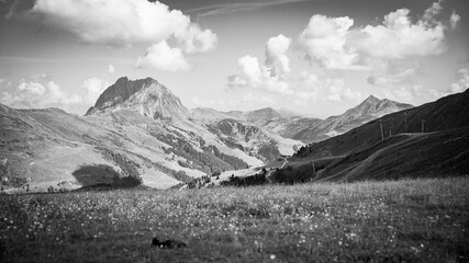Black and White Valley View