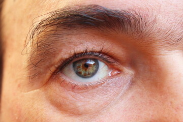 Close-up of a man's green eye