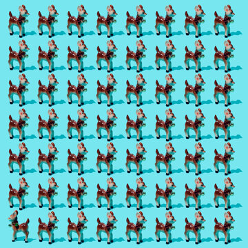 baby deers on a blue background