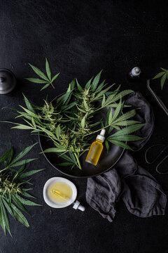 Cannabis oil + Fresh plants
