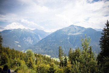 Obraz premium mountain forest at summer day