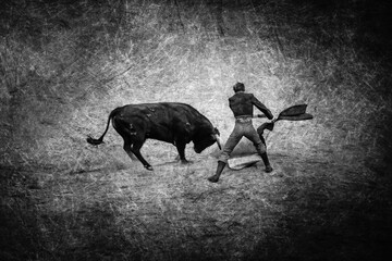 Stierkampf Torero und wilder Stier in Stierkampfarena in schwarz-weiss
