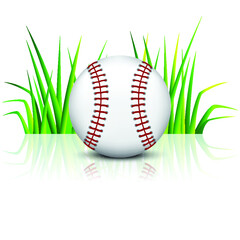 Baseball ball on green grass