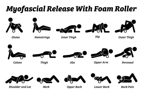 Myofascial release with foam roller physical therapy techniques for different body parts. Vector illustrations pictogram of myofascial release workout exercise by rolling the body with a foam roller.