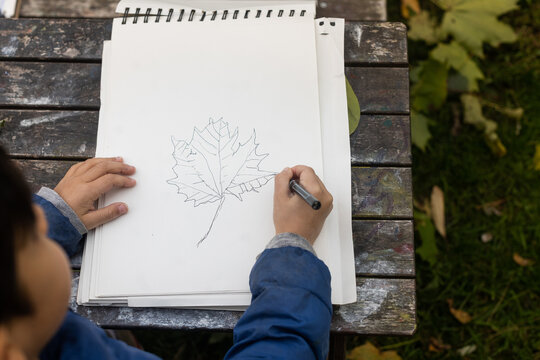 Child drawing leaf in sketchbook