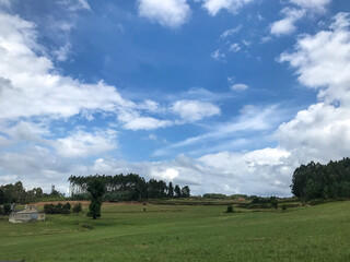 Hermosa captura de un campo agrícola