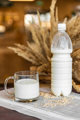 Cheese, cottage cheese, milk, sour cream. Dairy products. Dairy products. Advertising of products. Healthy eating.