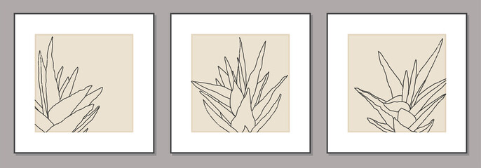 Set of minimalist botanical line art compositions with leaves abstract collage