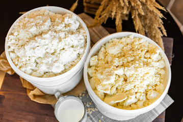 Cheese, cottage cheese, milk, sour cream. Dairy products. Dairy products. Advertising of products. Healthy eating.