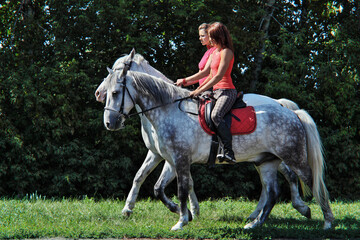 Pair of girls walking on horseback in summer  fields