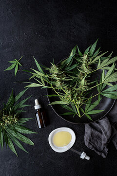 Cannabis oil + Fresh plants