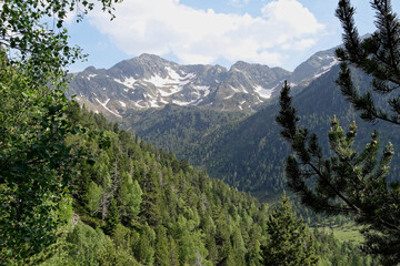 Fototapeta na wymiar The Valferrera Valley in Pyrenees Mountains (Spain)