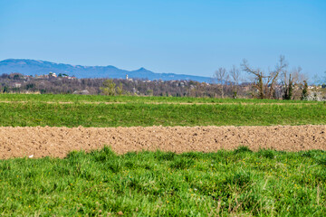 Obraz premium Spring. Explosion of life in the nature and in the ancient villages.