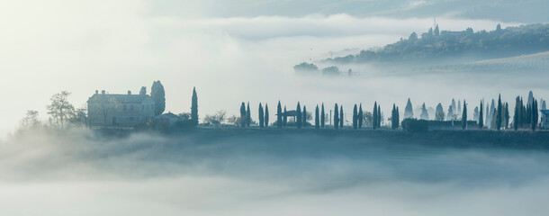 Fototapeta premium Foggy morning landscape - trees and hills in fog