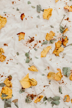 Bundle Dye Fabric