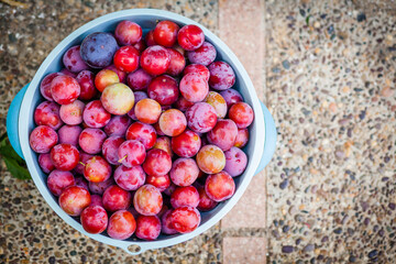 Fresh and ripe plums in a plastic container