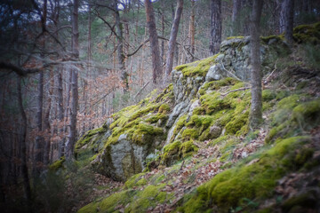 Rochers