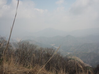山からの風景