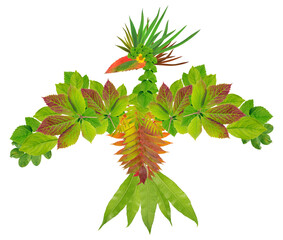 Native green eagle ancient  symbol  from leaves  isolated