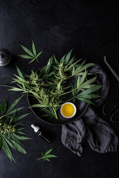 Cannabis oil + Fresh plants