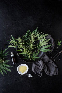 Cannabis oil + Fresh plants