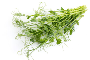 bunch of freshly cut green pea sprouts micro greens