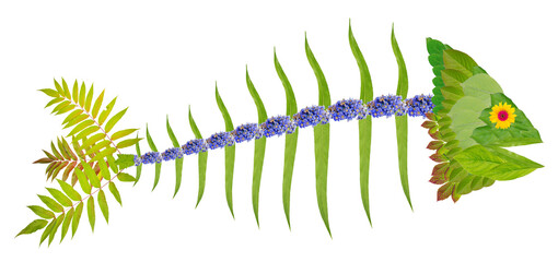 Fish skeleton made of green leaves and flowers  isolated
