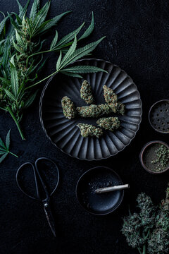 Cannabis 3 phases